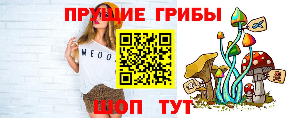 Псилоцибиновые грибы Cubensis Осинники